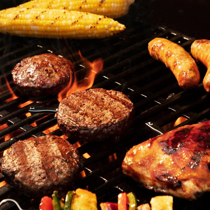 Chef iQ Smart Thermometer and Hub – 2-Probe Set, Precision Cooking & Wi-Fi Connectivity