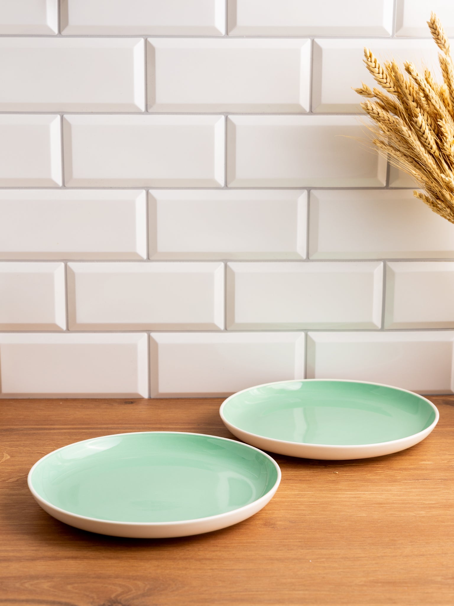 Porcelain Dinner Plates Set Of 4 Tableware Serving Plates for Salad, Pasta, Steak - 11 x 1.3 inches - Celeste (Lusite Green)