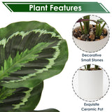 Threshold Artificial Potted Plants Green Faux Plants Indoor Small Fake Plant - OPEN BOX LIKE NEW