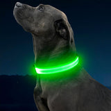 Omeril LED Dog Collar – BC762 Light-Up Safety Collar (Rechargeable, Reflective)