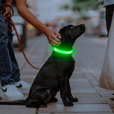 Omeril LED Dog Collar – BC762 Light-Up Safety Collar (Rechargeable, Reflective)