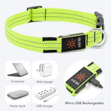 Omeril LED Dog Collar – BC762 Light-Up Safety Collar (Rechargeable, Reflective)