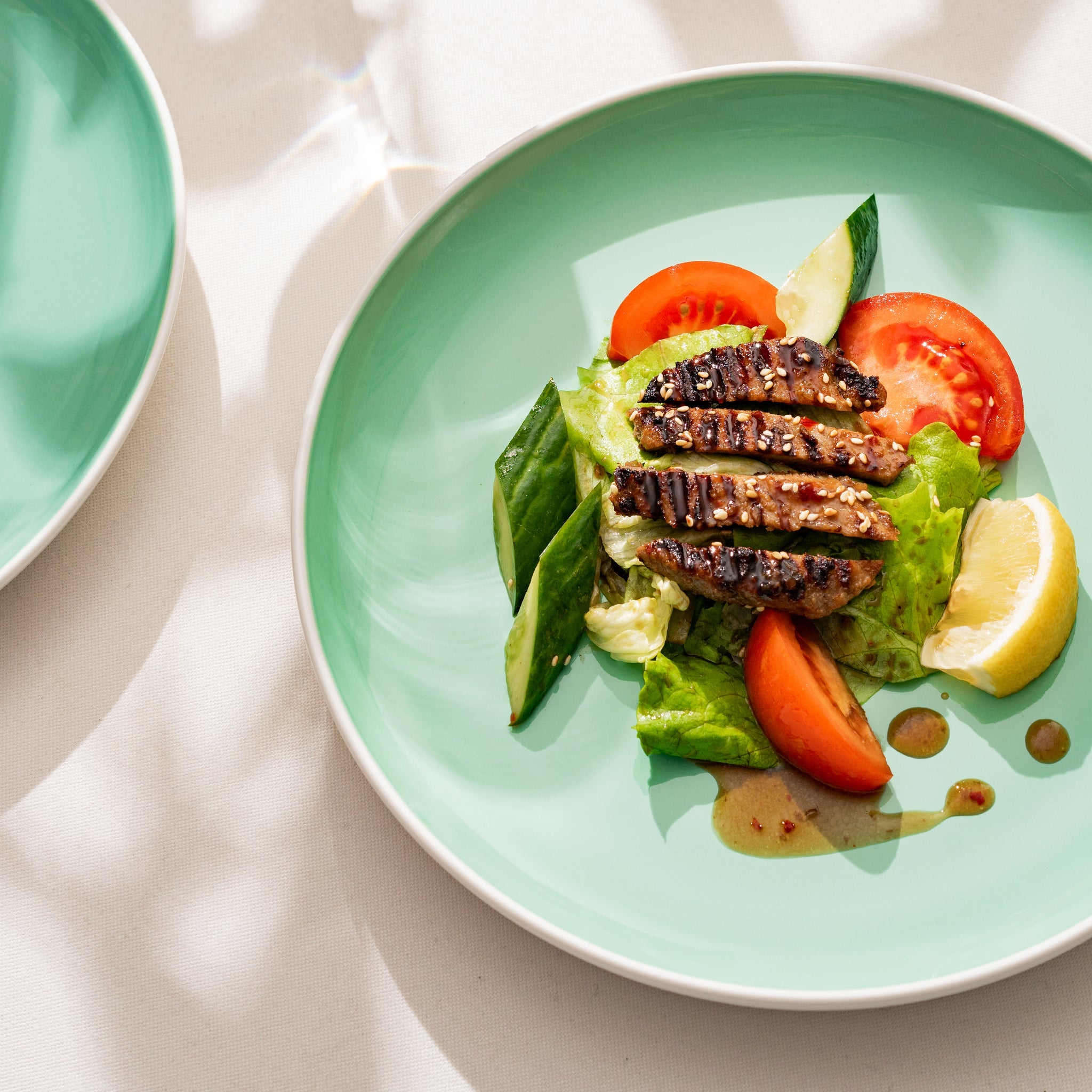 Porcelain Dinner Plates Set Of 4 Tableware Serving Plates for Salad, Pasta, Steak - 11 x 1.3 inches - Celeste (Lusite Green)